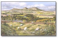 Click to see larger image (opens in new window)